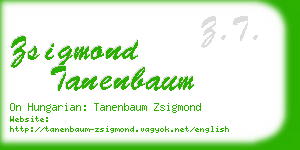 zsigmond tanenbaum business card